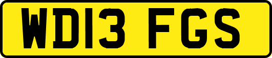 WD13FGS