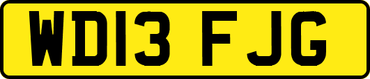 WD13FJG