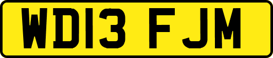 WD13FJM