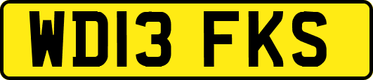 WD13FKS