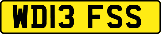 WD13FSS