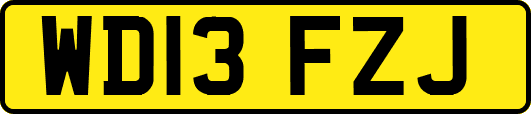 WD13FZJ