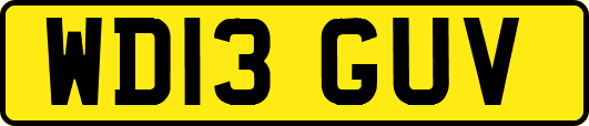 WD13GUV