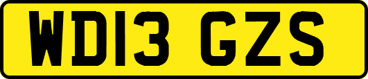 WD13GZS