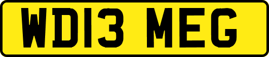 WD13MEG
