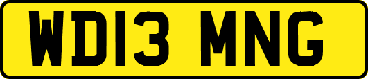 WD13MNG