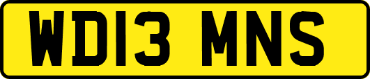 WD13MNS