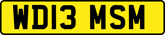 WD13MSM