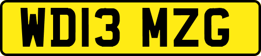 WD13MZG