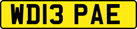 WD13PAE