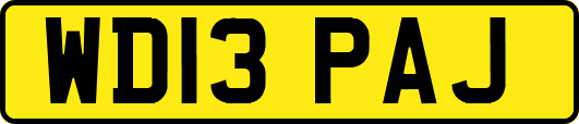 WD13PAJ
