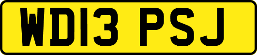 WD13PSJ