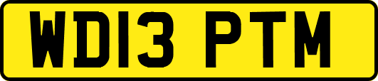 WD13PTM