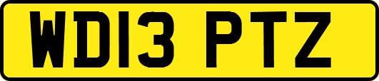 WD13PTZ