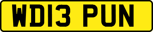 WD13PUN