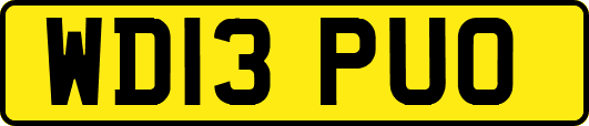 WD13PUO