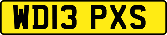 WD13PXS