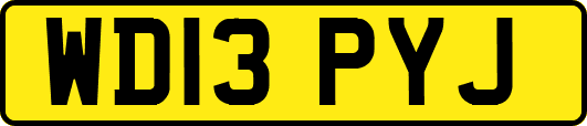 WD13PYJ