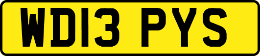 WD13PYS