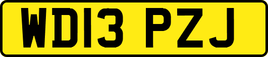 WD13PZJ
