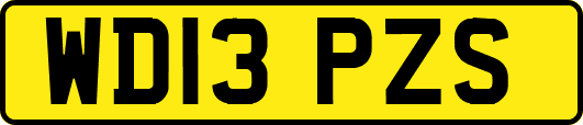 WD13PZS
