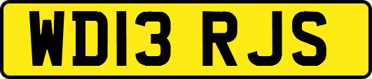 WD13RJS