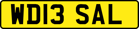 WD13SAL