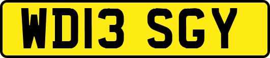 WD13SGY