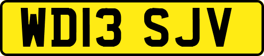 WD13SJV