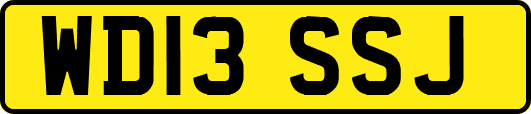 WD13SSJ