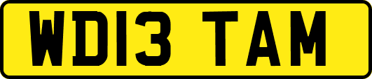 WD13TAM