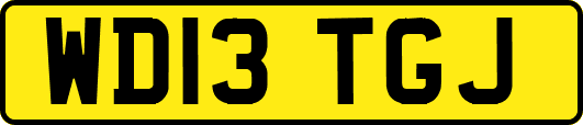 WD13TGJ