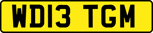 WD13TGM