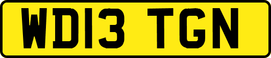 WD13TGN
