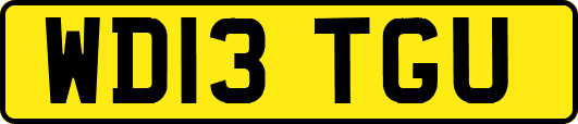 WD13TGU