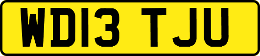WD13TJU
