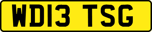WD13TSG