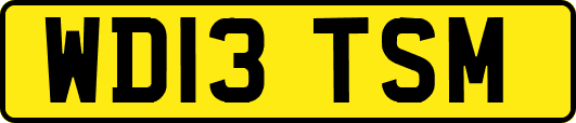 WD13TSM