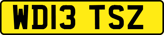 WD13TSZ