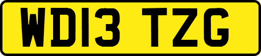 WD13TZG