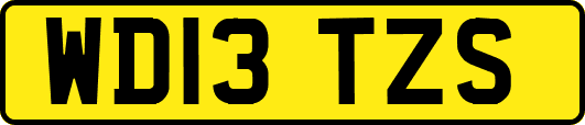 WD13TZS