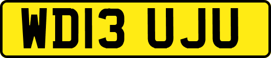 WD13UJU
