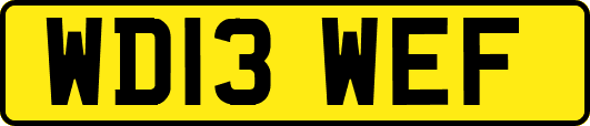 WD13WEF