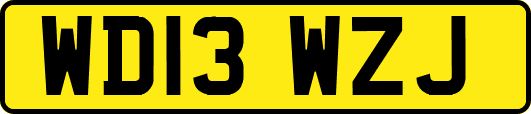 WD13WZJ
