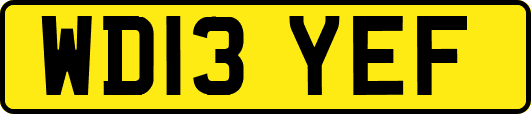 WD13YEF