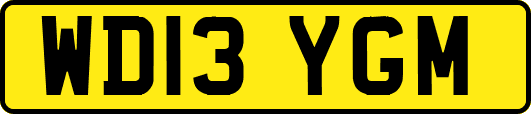 WD13YGM