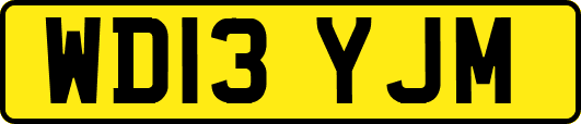 WD13YJM