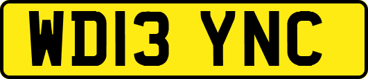 WD13YNC