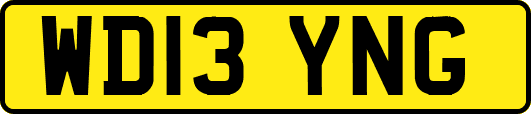 WD13YNG