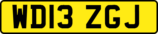 WD13ZGJ